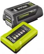 Набір акумуляторів RYOBI 36,0V 4Ah Max Power RY36BK17B-140 5133006228