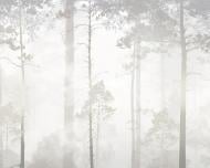 Фотообои De-Cors Лес в тумане 70176 265x200 см 5,3 кв.м