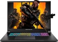 Ноутбук Dream Machines RX5090-18 18" (RX5090-18UA27) black