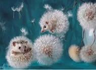 Набор со стразами на подрамнике Ежи одуванчика 30x40 см GoToArt