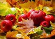 Набор со стразами на подрамнике Осенние дары 30x40 см (GLD62576) GoToArt