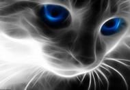 Набор со стразами на подрамнике Незабываемый взгляд 40x50 см GoToArt