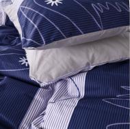 Наволочка бязь 17-0023 Isaac 60x60 см мульти MirSon