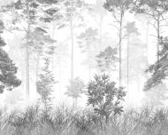 Фотообои De-Cors Лес ч/б 70187 265x200 см 5,3 кв.м