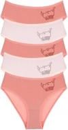 Трусы для девочки Donella 41661PB р.146-152 в ассортименте