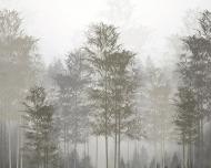 Фотообои De-Cors Лес зеленый 70189 265x200 см 5,3 кв.м