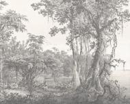 Фотообои De-Cors Ретро лес 70191 265x300 см 7,9 кв.м