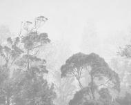 Фотошпалери De-Cors Ліс ретро 70193 265x200 см 5,3 кв.м