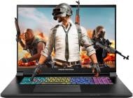 Ноутбук Dream Machines RX5080-18 18" (RX5080-18UA22) black