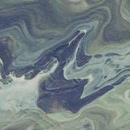 Плитка Ceramica Ribesalbes Dive Tropicana 15x15 см