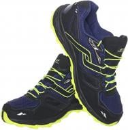 Кроссовки Pro Touch Ridgerunner IV M 239599 чорн./блак. р.40 черный