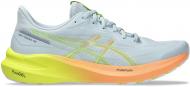 Кроссовки мужские Asics GT-1000 13 PARIS 1011B952-750 р.45 серые