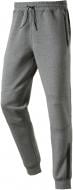 Брюки Energetics Cole 258682-900031 р. 3XL серый