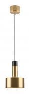 Світильник підвісний Sensio Astra 1x40 Вт E27 латунь HN8469