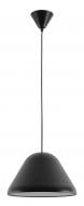 Світильник підвісний Sensio Gerbera 1x40 Вт E27 чорний HN8487M-BK