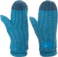 Рукавицы Adidas Chunky Mittens AY7868 р. L синий