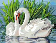Картина за номерами Лебедина пара 35х45 см Rosa Start