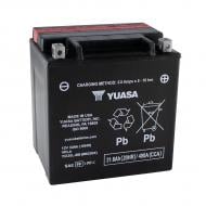 Аккумулятор автомобильный Yuasa High Performance MF VRLA Battery AGM 386A 12V YIX30L-BS «+» справа (YIX30L-BS)