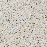 Жидкие обои Норд SILKPLASTER SP 922 1 кг