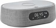 Акустическая система Harman Kardon Citation Oasis grey (HKCITAOASISGRYEU)