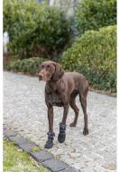 Ботинки Trixie защитные Walker Active Long S-M: 5-5.5 см черный 2 шт.