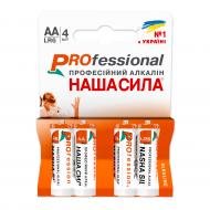 Батарейки НАША СИЛА Pro AA (R6, 316) 4 шт. (3094)