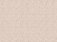 Обои виниловые на флизелиновой основе Славянские обои Le Grand platinum Полонез 2 1549-06 1,06x10,05 м