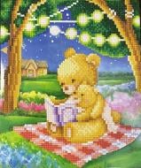 Набор со стразами на картоне 5D Интересная сказочка 21x25 см GoToArt