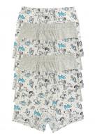 Трусы для мальчика Donella 7572721SK р.122-128 в ассортименте