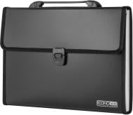 Папка-портфель А4 13 на отделений E31604 Economix