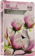 Набір свічок ароматичних Bispol Магнолія