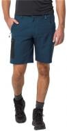 Шорты Jack Wolfskin ACTIVE TRACK SHORTS MEN 1503791_1274 р. 56 синий