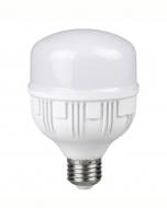 Лампа светодиодная LIGHT SET WLS 40 Вт T100 E27 220 В 6400 К