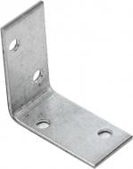 Кутник перфорований Profstal рівносторонній 40x40x20 мм 2 мм