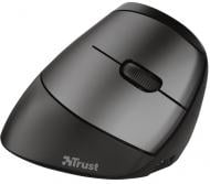 Мышь Trust Ergonomic Rechargeable WL black (24110)