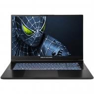 Ноутбук Dream Machines 17,3" (RG5050-17UA35) black