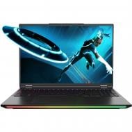 Ноутбук Dream Machines 16" (RX5070Ti-16UA29) black