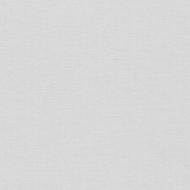 Обои виниловые на флизелиновой основе Erismann Fashion for Wolls 5 12257-31 1,06x10,05 м Обои виниловые на флизелиновой основе Erismann Fashion for Wolls 5 12257-31 1,06x10,05 м