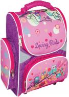 Рюкзак школьный Cool For School каркасный Loving Birds CF86200