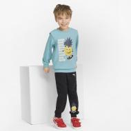 Брюки Puma FRUITMATES Sweatpants TR cl 84731701 р. 92 черный