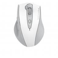 Мышка беспроводная A4Tech бесшумная, 3200 dpi, Double Click white (FG55S Plus (White))