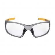 Очки защитные DeWalt DPG112-1D