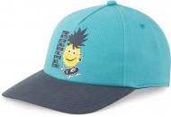 Кепка Puma Fruits BB Cap 02370001 OSFY голубой