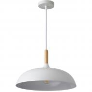 ВІТРИНА! Підвіс Hopfen LOFT TNW 1 PD 1x40 Вт E27 білий