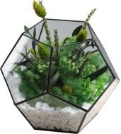 Флорариум Floretta Весенняя свежесть (с живыми стабилизированными цветами 20x20 см)