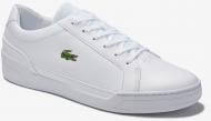 Кроссовки мужские демисезонные Lacoste CHALLENGE 0120 2 SMA 740SMA008021G р.46 белые