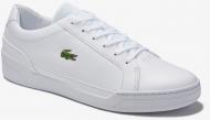 Кроссовки мужские демисезонные Lacoste CHALLENGE 0120 2 SMA 740SMA008021G р.41 белые