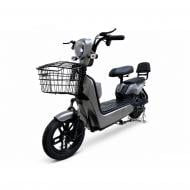 Электроскутер Techno R1 Grey (R1.grey)