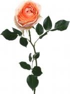 Троянда Gravity одноголова класична 70 см помаранчева (Нідерланди)