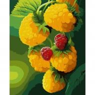 Картина по номерам Малина 40х50 см Santi